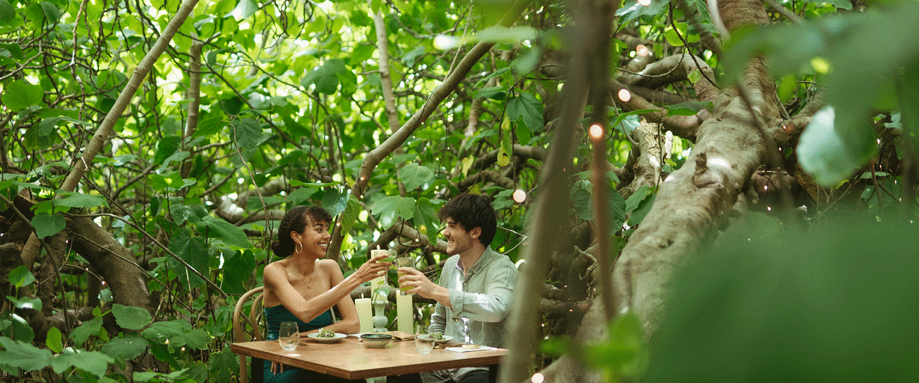 The Fig Tree, Kangaroo Island