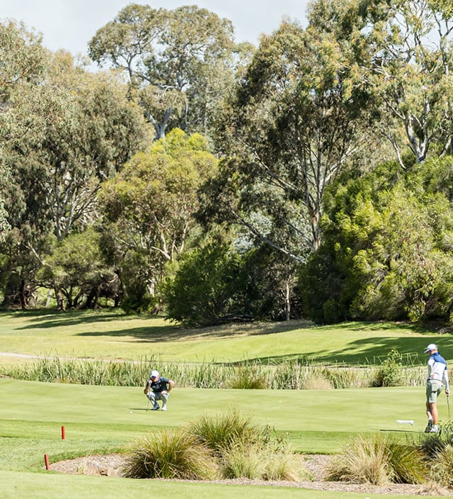 What's on this month