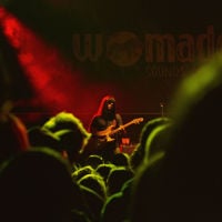 Between the darkness, red and green lights illuminate the guitarist on stage at WOMADelaide