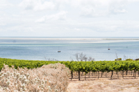 BayofShoalsKIbyMeaghanColes