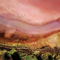 Abstract image of a bird's-eye view of Lake Bumbunga, with green land at the bottom and pink up top