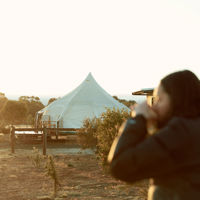 A woman rugged up sips her morning coffee, as warm light spills over her Burkirk Glamping tent.