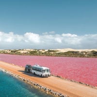A tour bus drives on the road through Lake MacDonnell which is blue one side and pink the other