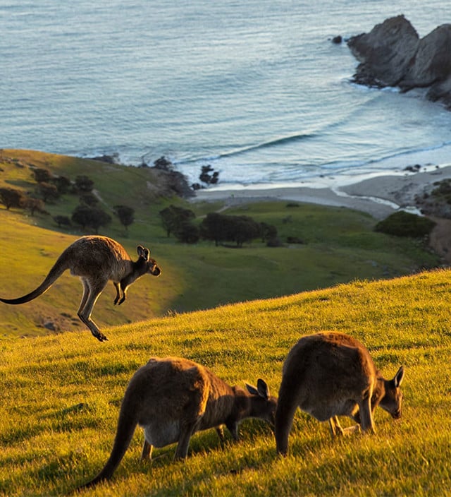 Spring in South Australia
