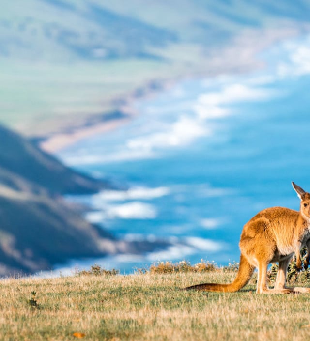 Health and safety information