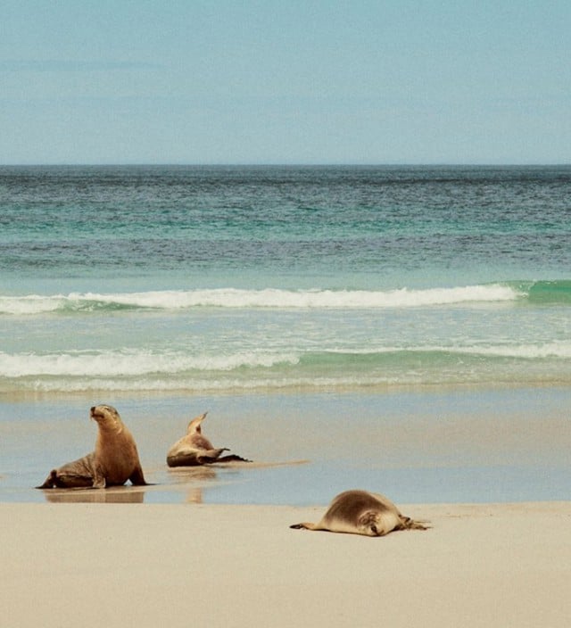 Kangaroo Island