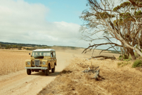 KI Grassy Flat 2028X1347