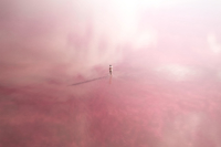 Lake Bumbunga Clarevalley 2028X1347