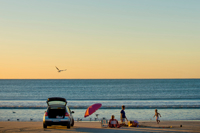 Limestone Coast Beaches 700X700