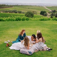 Four friends lie on picnic rigs playing cards with green rolling hills and vineyards behind them