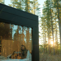 Tall pine trees surround the cozy cabin where light shines inside, where a girl is reading her book. 