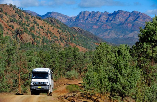 Two emus running along a dirt road with the majestic Flinders Ranges in the background