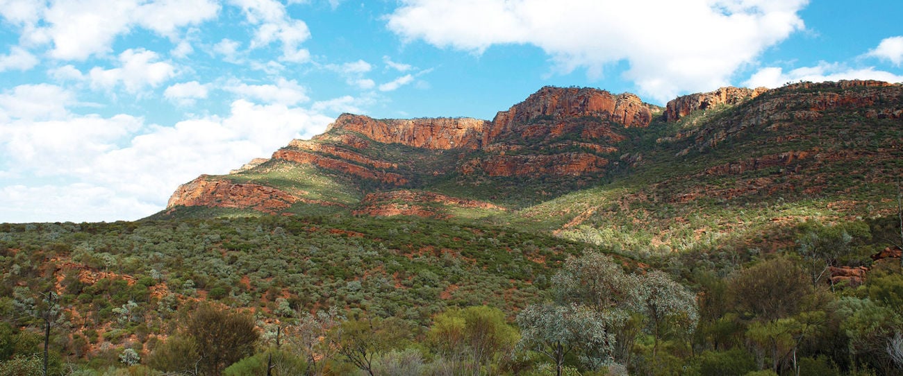 Arkaroo Rock, Flinders Ranges