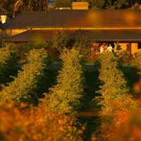 Orange vineyards surround snake their way down toward The Salopian Inn in McLaren Vale