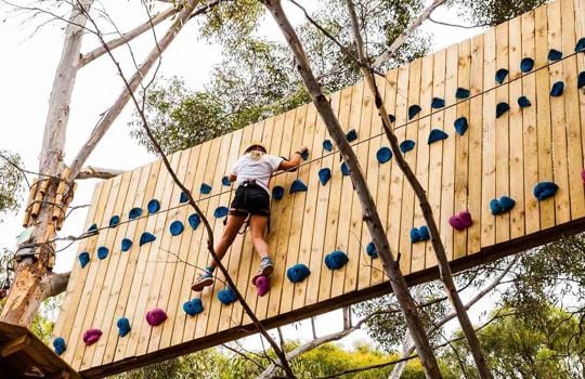 a teenager climbing amongst the trees on an obstacle course