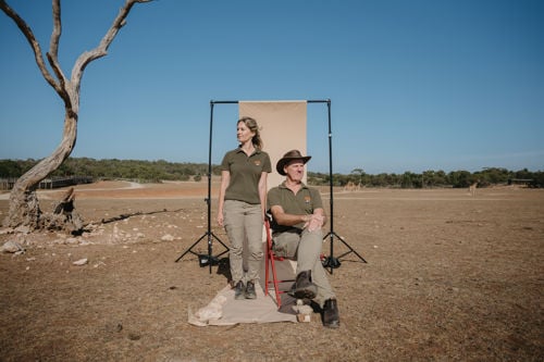 Why are exotic African Animals in Adelaide? 