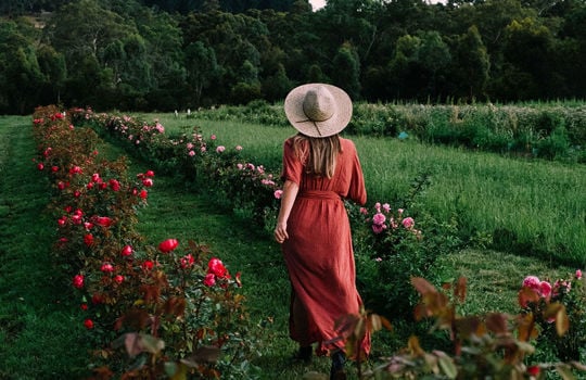 Jurlique, Adelaide Hills