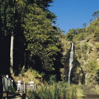 People walking across the boardwalk in Waterfall Gully