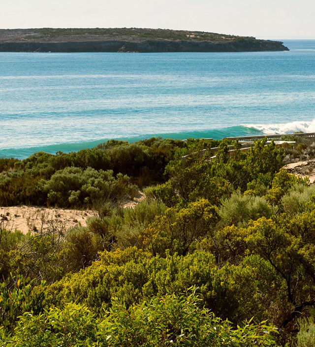 Things to do on the Yorke Peninsula