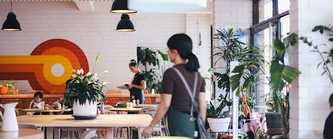 My Kingdome For A  Horse,  Adelaide