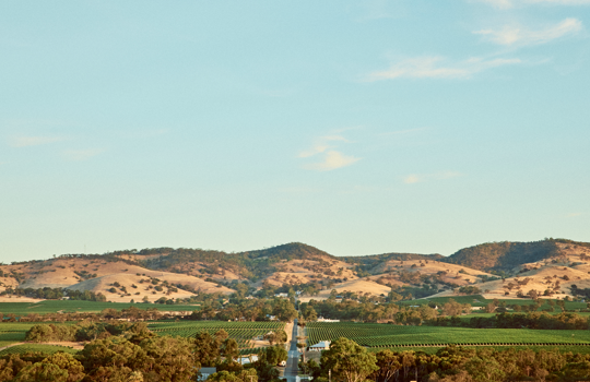 view of Barossa with the Ranges in the background